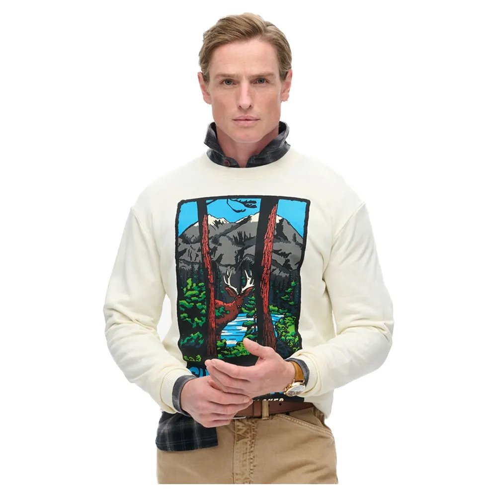 

Толстовка Superdry Travel Postcard Graphic, белый