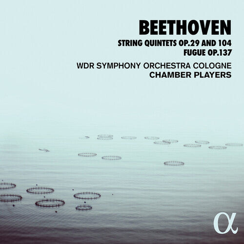 

CD диск Beethoven: String Quintets 29 & 104