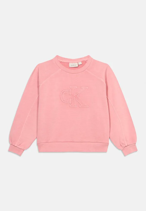 Толстовка с логотипом Calvin Klein Jeans, Quartz Pink — фото 3
