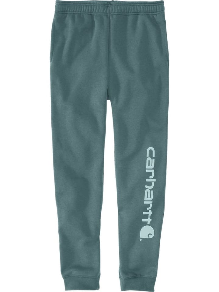 

Спортивные штаны CARHARTT , зеленый