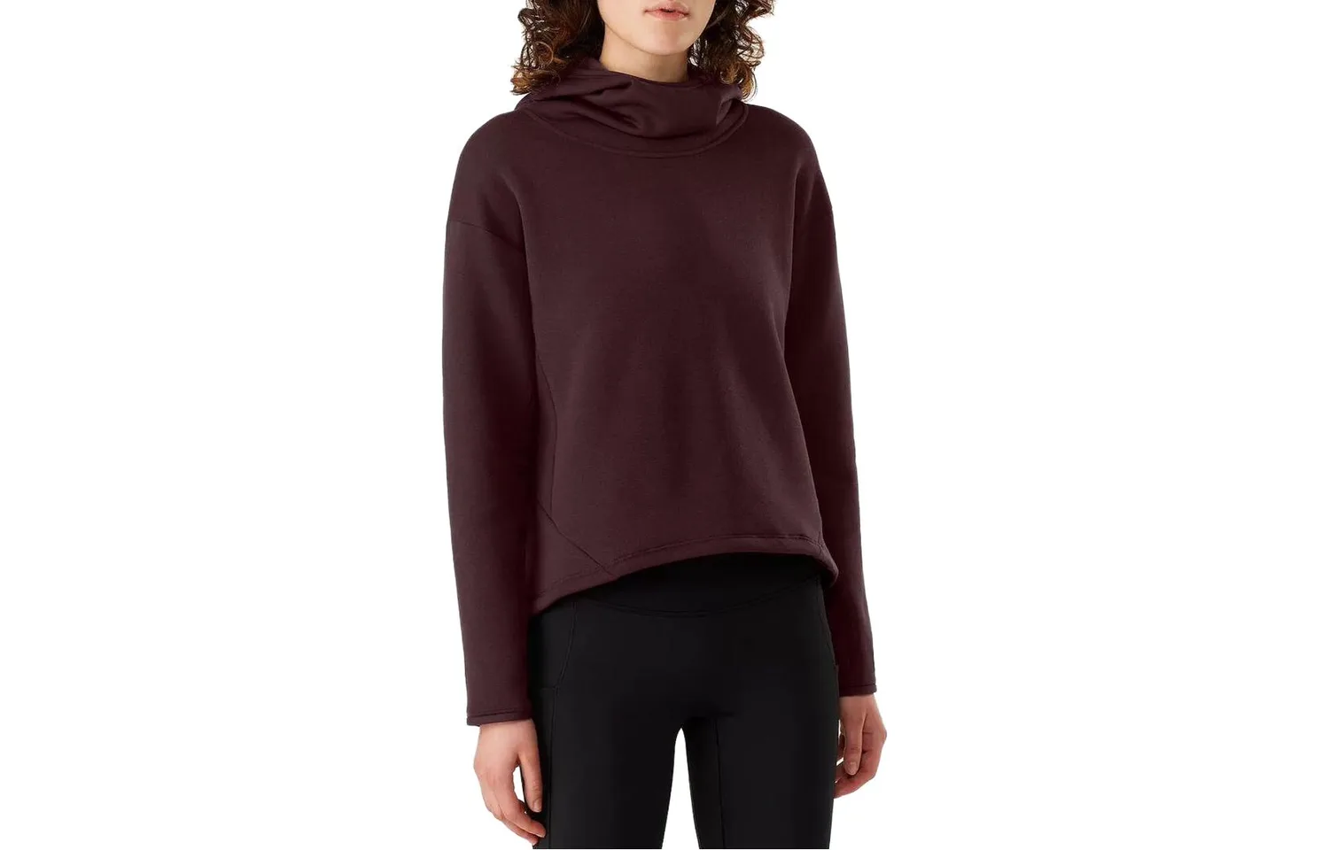 Толстовка женская с капюшоном Moderate Others Arcteryx, Phantasm Purple/Phantasm