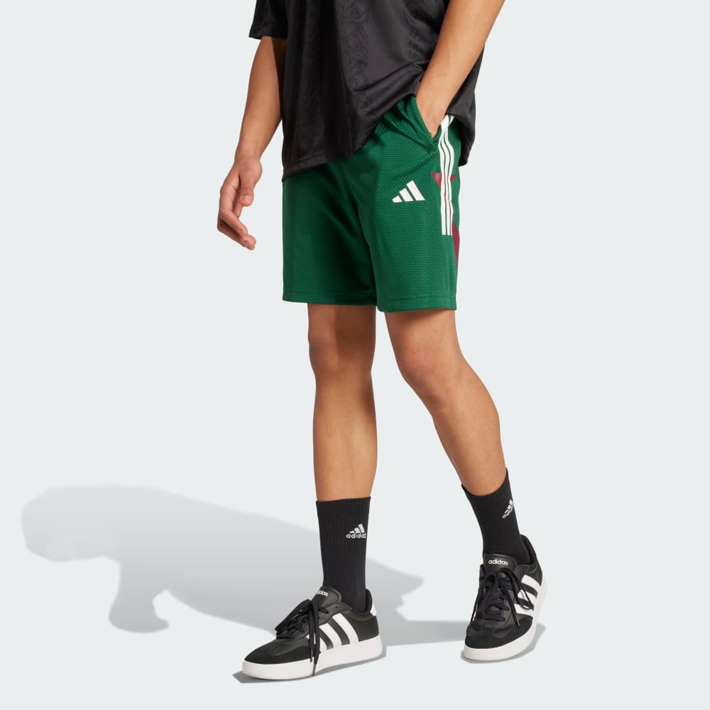 

Шорты Adidas House of Tiro Nations Pack Shorts, цвет Dark Green/Collegiate Burgundy/White