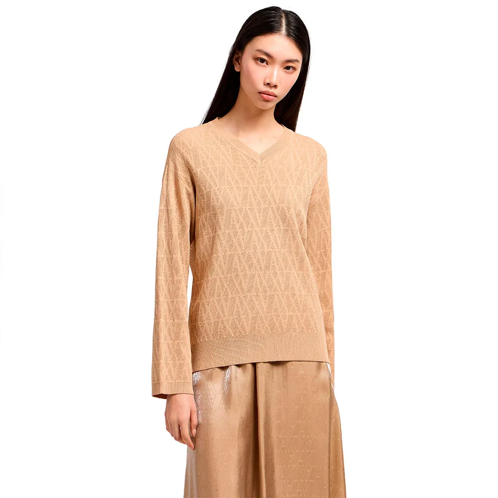 

Свитер Armani Exchange XW000578_AF12875 v neck, коричневый