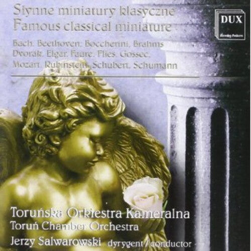 

CD диск Bach / Schumann / Brahms / Schubert / Salwarowski: Famous Classical Miniatures