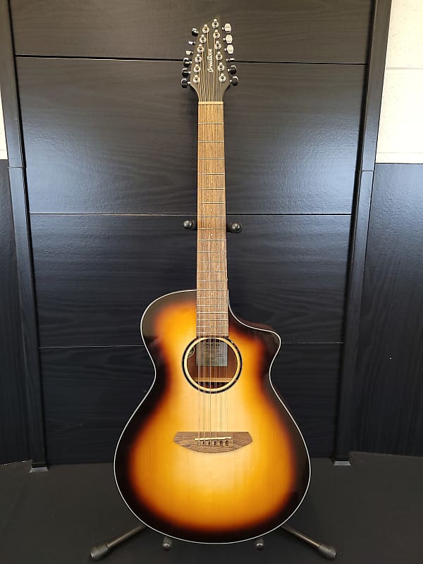 

Акустическая гитара Breedlove Discovery S Concert ED 12 CE