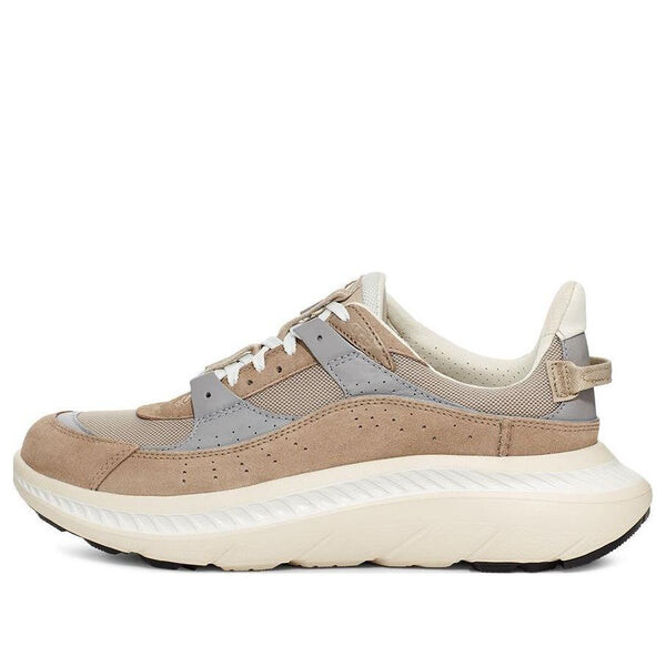 

Кроссовки ca805 v2 trainer 'dune seal' Ugg, мультиколор