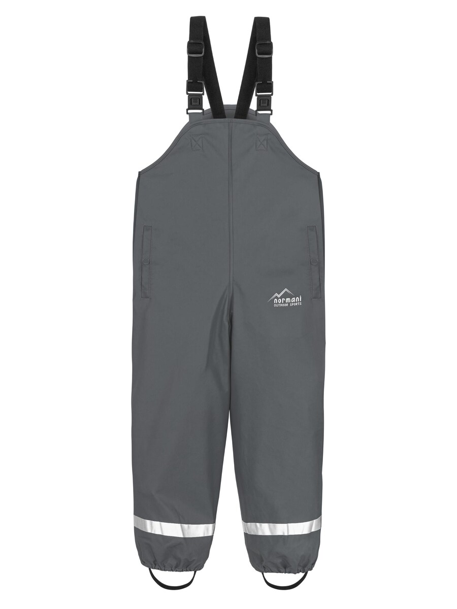 

Обычные спортивные брюки normani Skjolden, цвет Grey/Silver grey