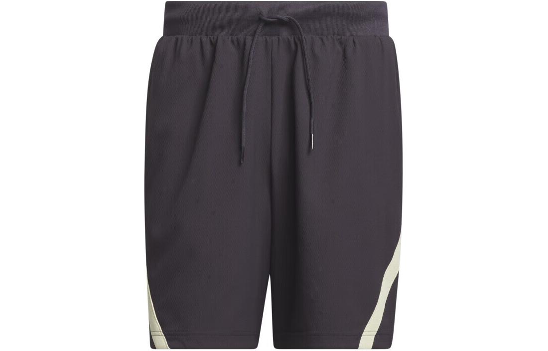 

Спортивные шорты мужские серые Adidas