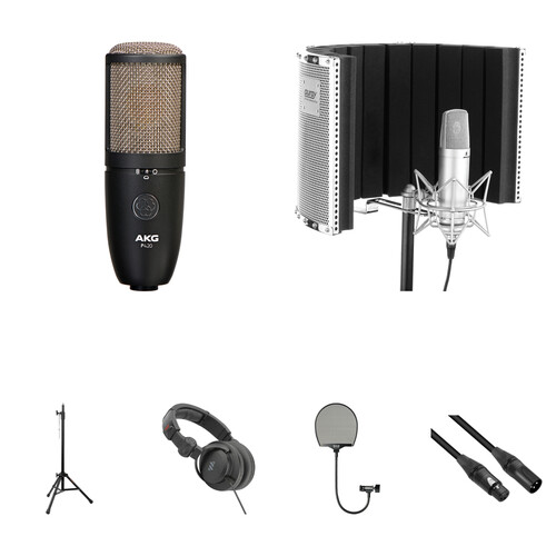 

Комплект Для Студийной Записи Вокала AKG P420