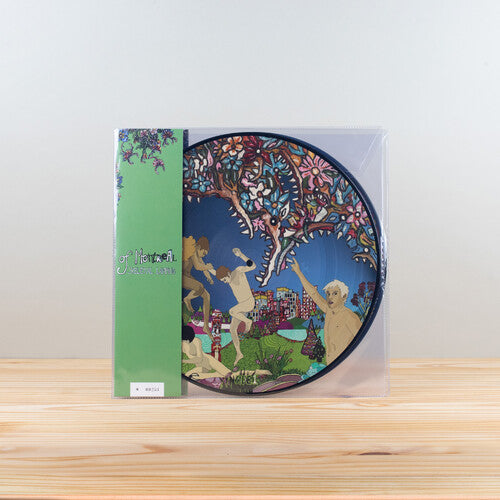 

Виниловая пластинка Of Montreal: Skeletal Lamping (Picture Disc Edition)