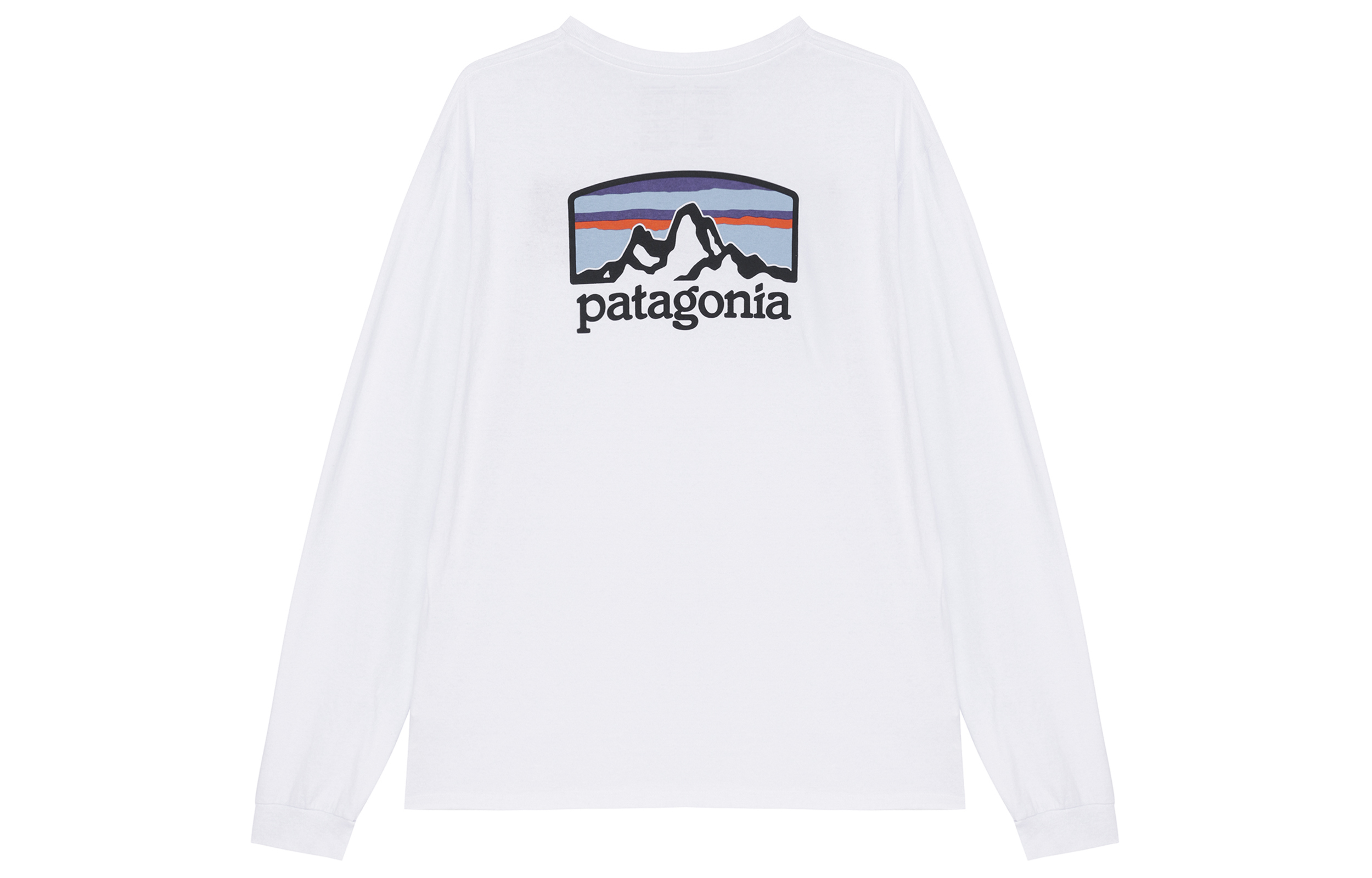 

Футболка Responsibili мужская Patagonia, White/WLWT