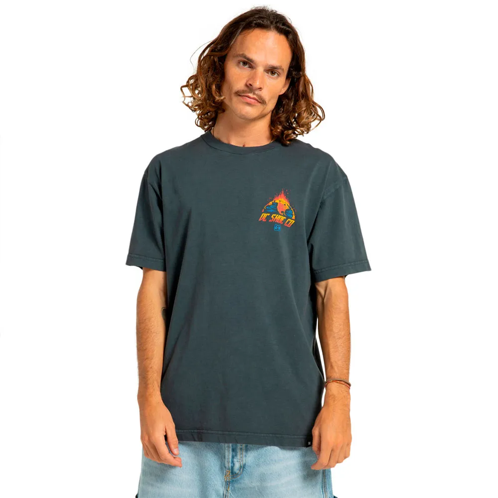

Футболка Dc Shoes Free Fall, серый