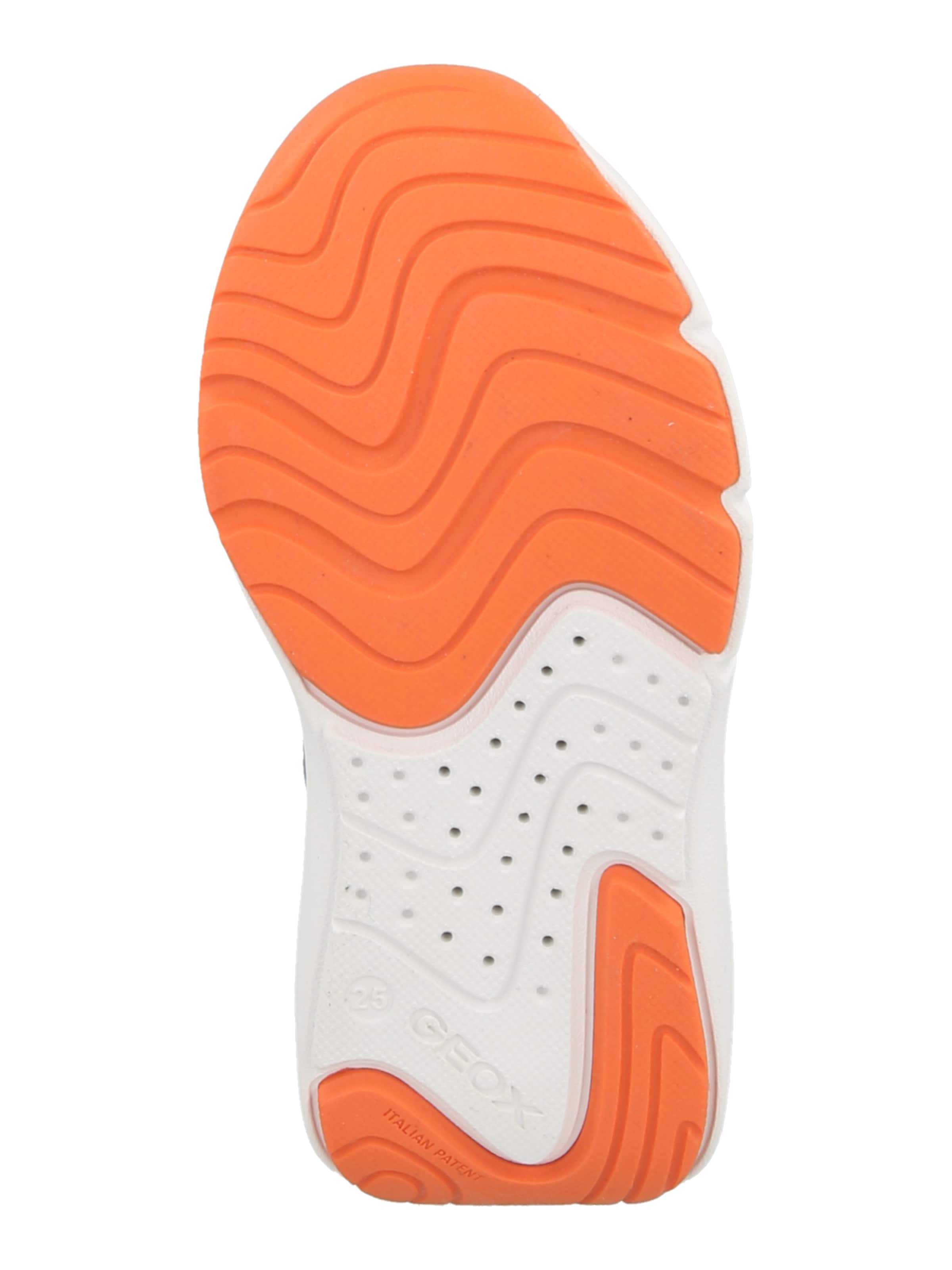GEOX Кроссовки 'PRO-RAN' в цвете Navy, Dusty Blue, Light Blue — фото 3