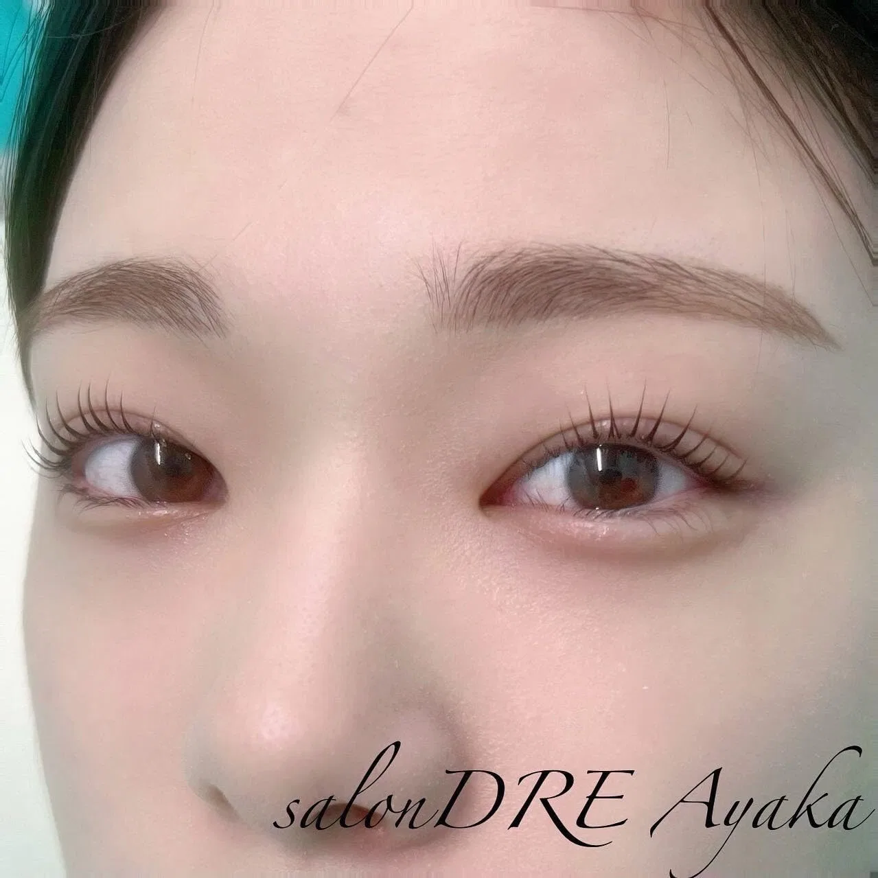 Набор для бровей HBL Hollywood Brow Lift, 2 цвета, Vista Brown и Chestnut Brown — фото 2