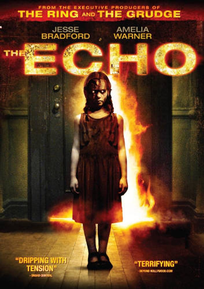 

Диск DVD Echo