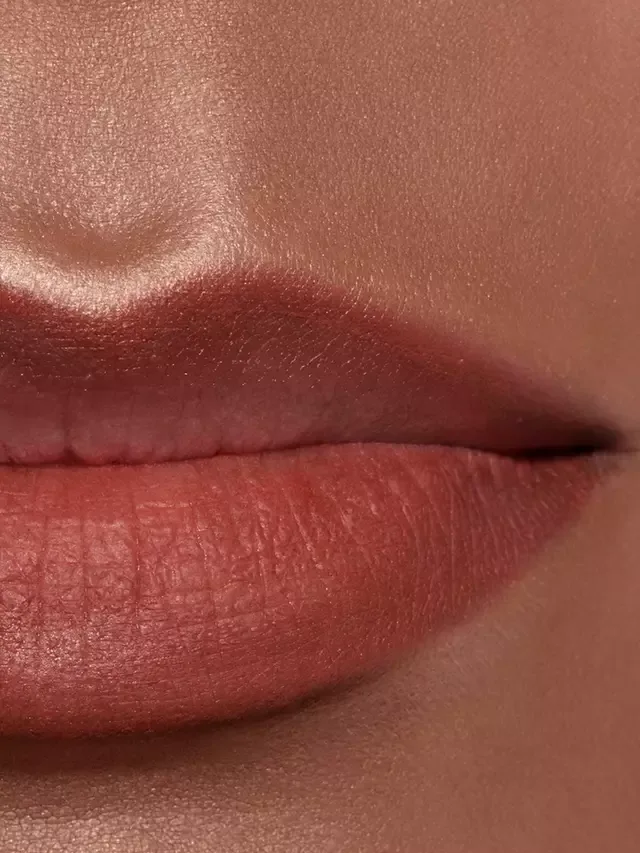 Стойкий карандаш для губ Le Crayon Lèvres CHANEL, 216 Brun Sienne — фото 4