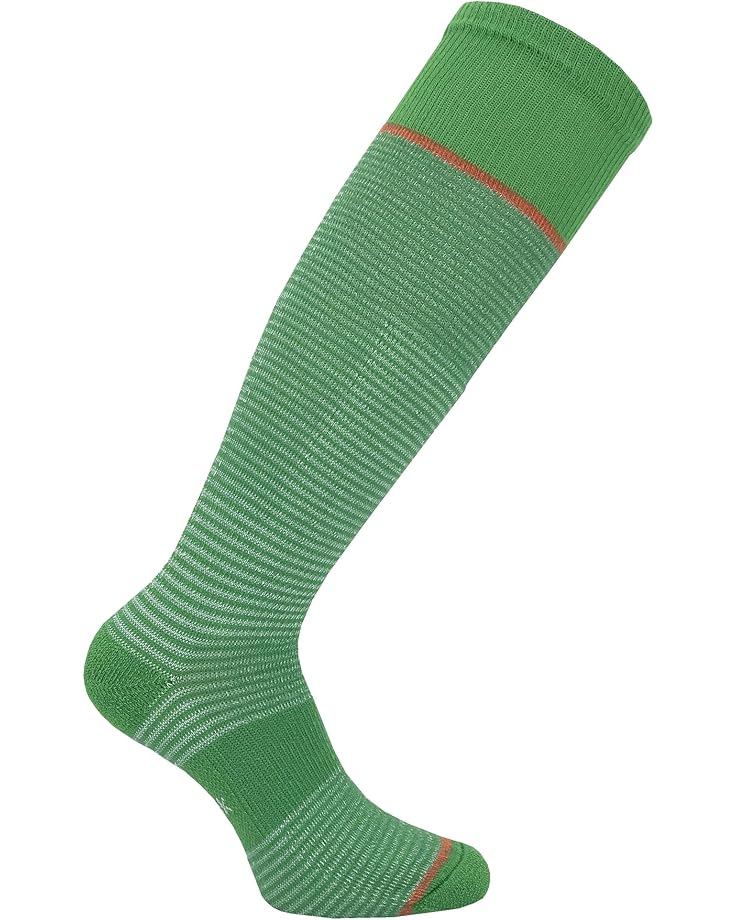 

Носки Eurosock Thermobase Ski 2-Pack, зеленый