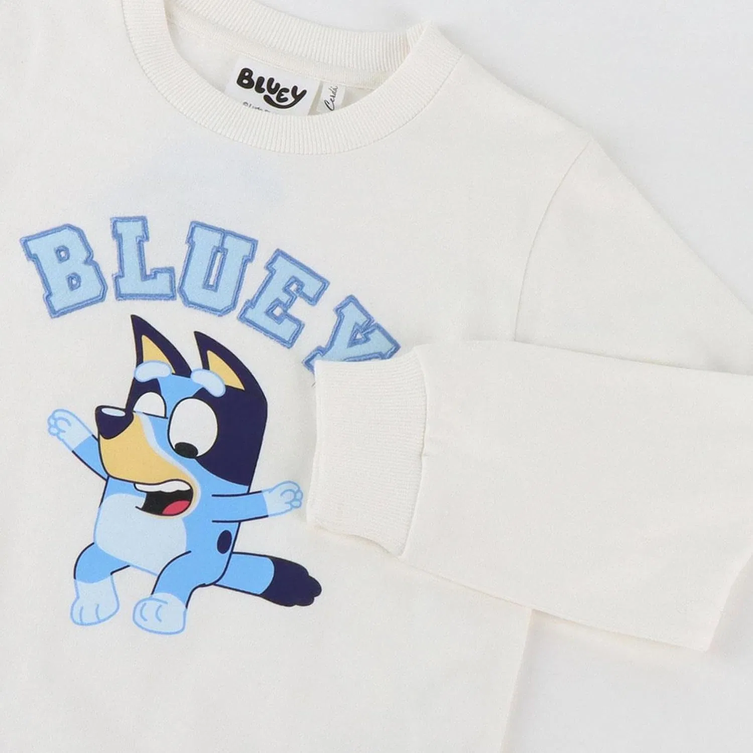 Детский спортивный костюм Bluey, CERDÁ LIFE'S LITTLE MOMENTS, хлопок, Bluey — фото 3