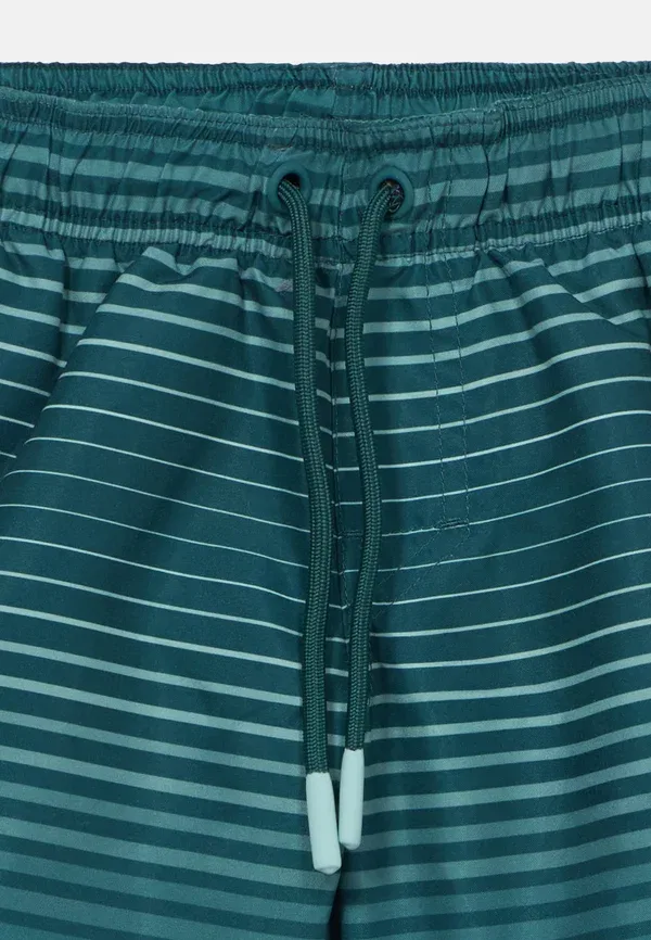 Плавки мальчиковые Cestery stripe boys swimming shorts Brunotti, зеленый — фото 3
