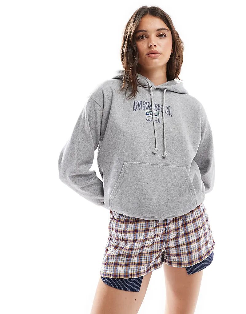 

Толстовка Levi's Heritage с логотипом Center College Bat светло-серого цвета