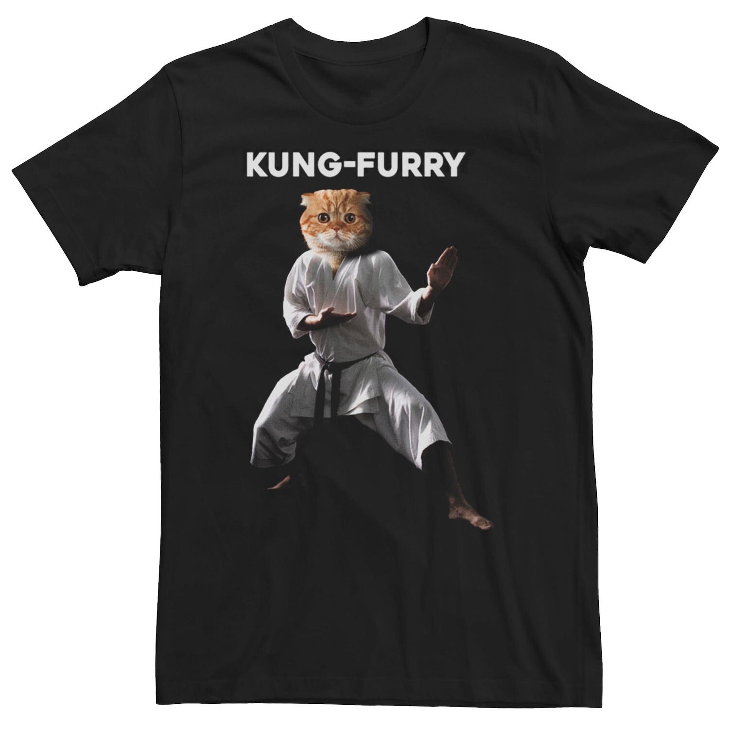 

Мужская футболка Kung-Furry Cat Licensed Character