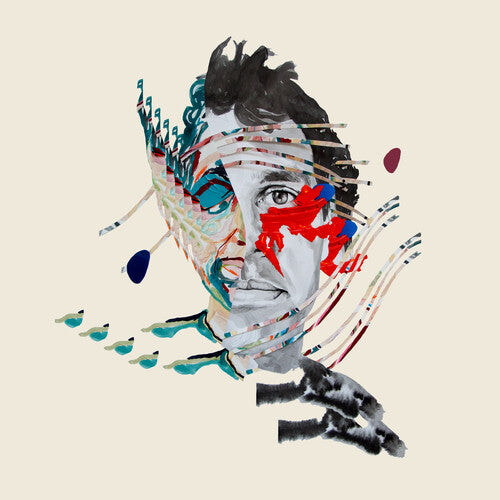 

Виниловая пластинка Animal Collective: Painting with