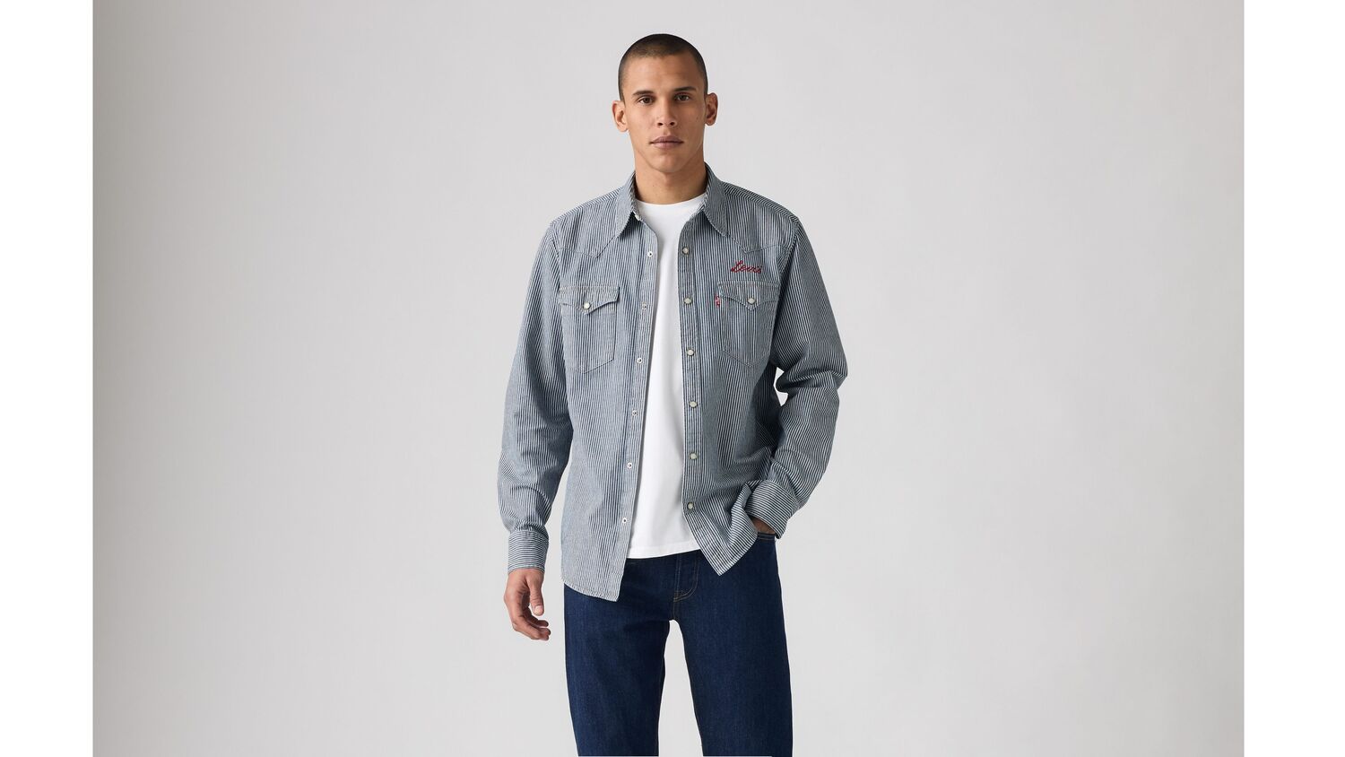 Классическая рубашка в стиле вестерн стандартного кроя Levi's, Roadtrip Stripes - Medium Wash — фото 2