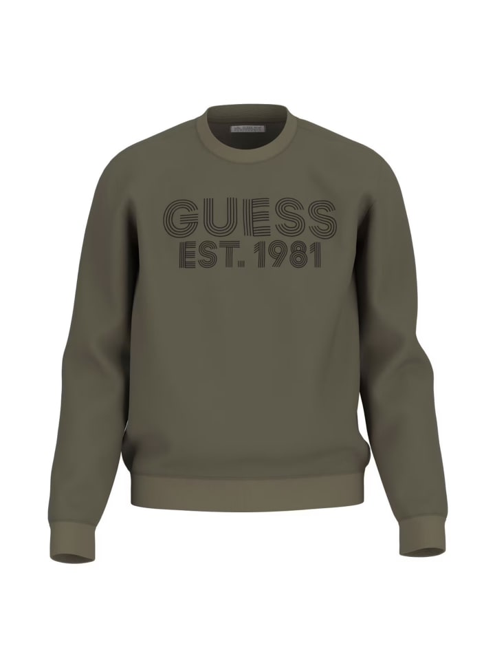 

Толстовка Guess, зеленый