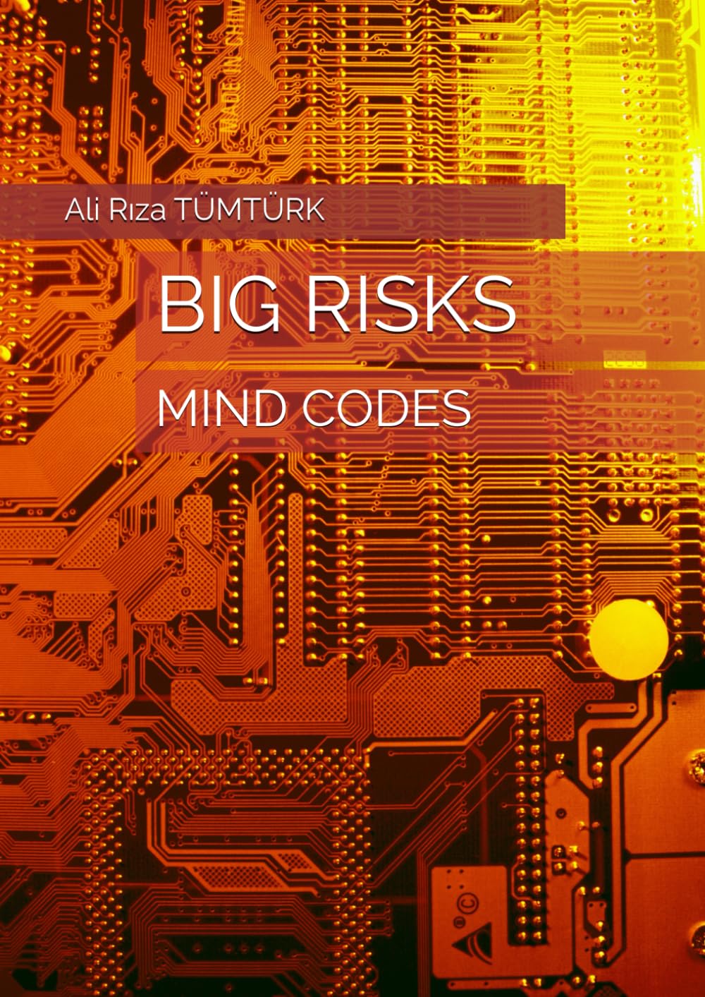 

ZIHIN KODLARI: MIND CODES (Independently published)