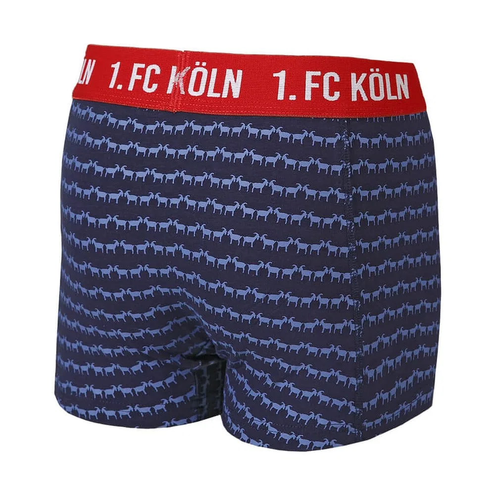 Боксеры с принтом, 1. FC Köln, синий — фото 2