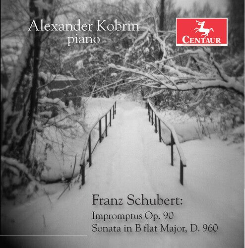 

CD диск Schubert / Kobrin: Impromptus 90