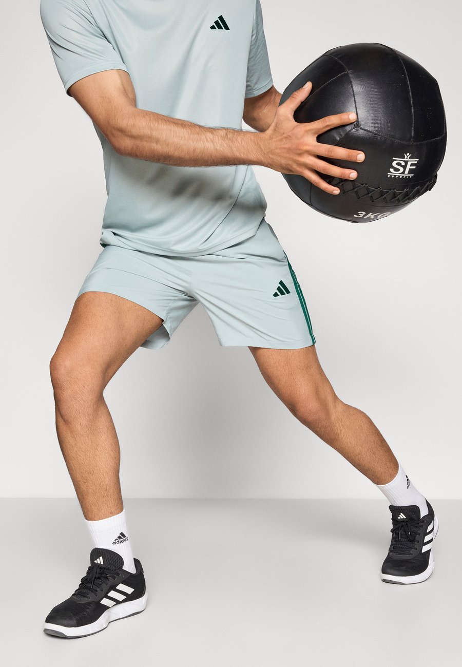 Спортивные шорты Adidas Sportswear CHELSEA, Sage/Collegiate Green/Light Green — фото 4