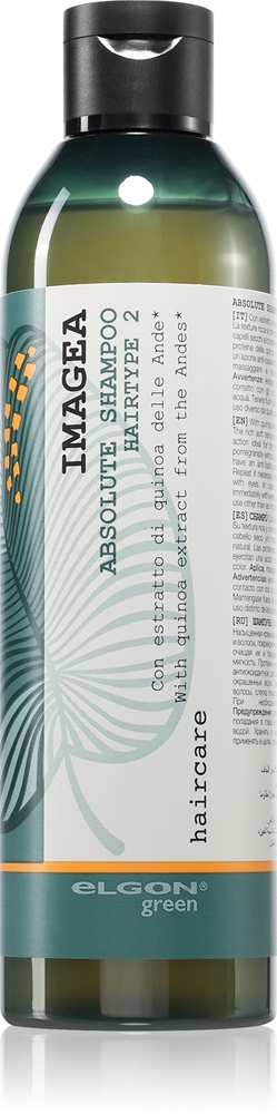 

Абсолютный шампунь, шампунь с бронзовым эффектом для окрашенных волос Elgon Green Imagea, 250 мл