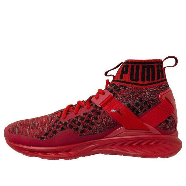 

Кроссовки ignite evoknit 'red' Puma, красный