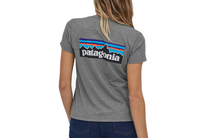 

Футболка с логотипом Patagonia, Tidepool Blue/TIDB