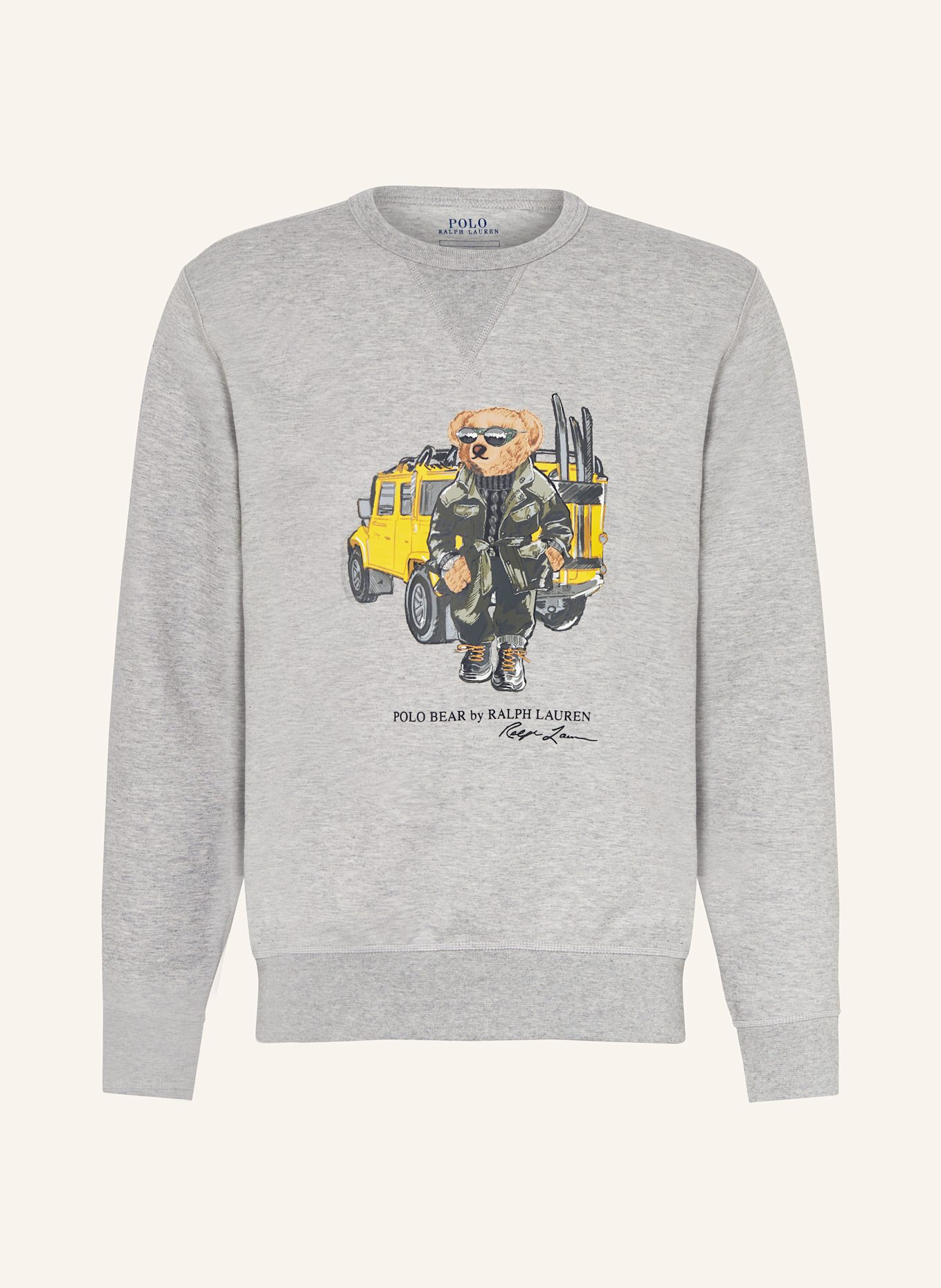 

Толстовка Polo Ralph Lauren, мультиколор