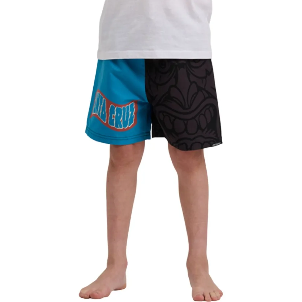 

Шорты для плавания Santa Cruz Roskopp voodoo, синий