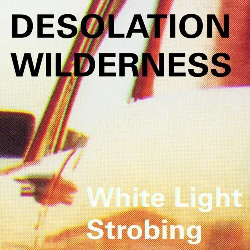 

CD диск Desolation Wilderness: White Light Strobing