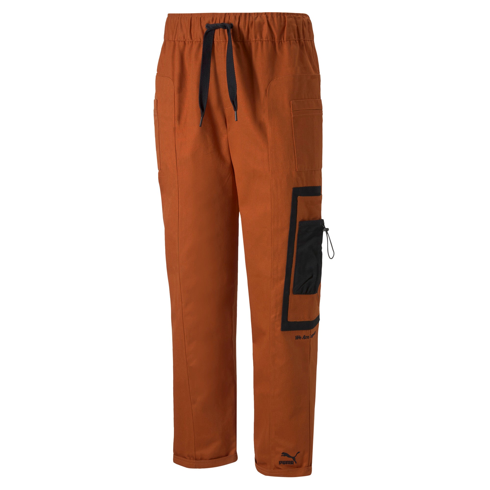 

PUMA Унисекс We Are Legends WRK.WR Брюки, цвет warm chestnut