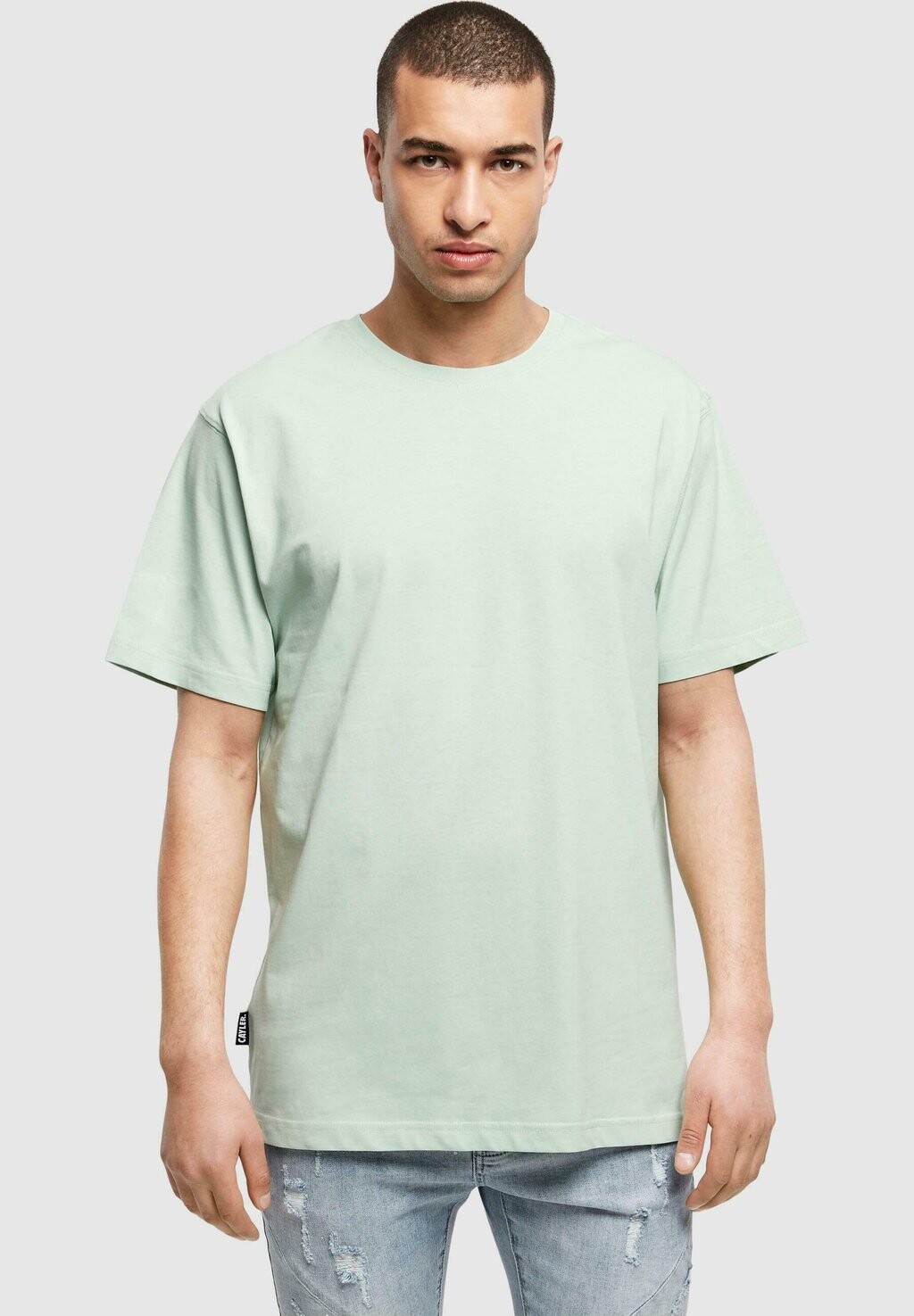 

Футболка базовая PLAIN Cayler & Sons, цвет birds egg green
