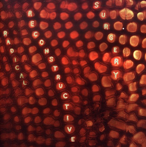 

CD диск Hard, Scotty Radical Reconstructive Surgery: Scotty Hard's Radical Reconstructive Surgery - John Medeski and Matthew Shipp