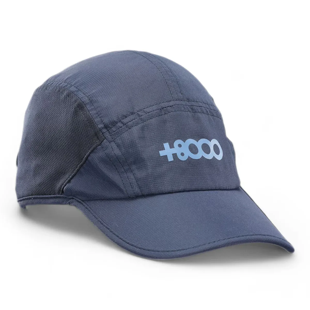 

Кепка мужская V8Cpacm05 25V +8000, синий