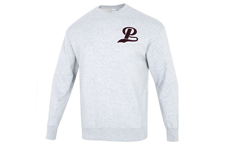 

Толстовка FIT мужская серая Puma, серый
