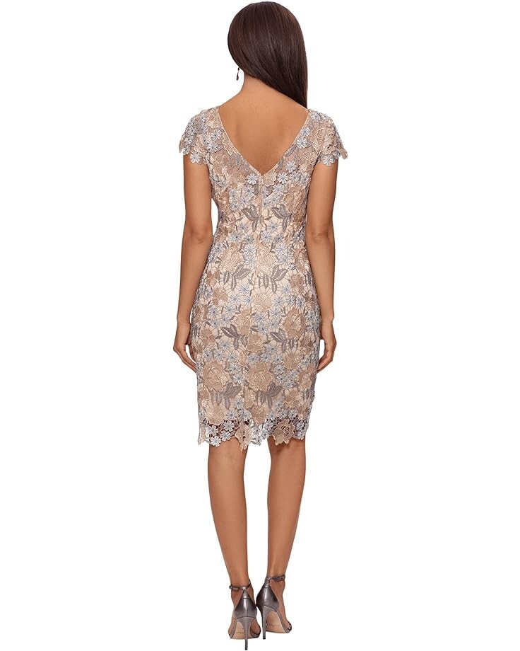 

Платье XSCAPE Short Sleeve Embroidered Lace Dress, розовое золото, Розовый, Платье XSCAPE Short Sleeve Embroidered Lace Dress, розовое золото