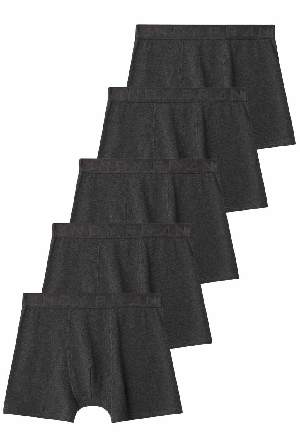 

Брюки 5-PACK LEGEND BOXER BRIEF Frank Dandy, черный