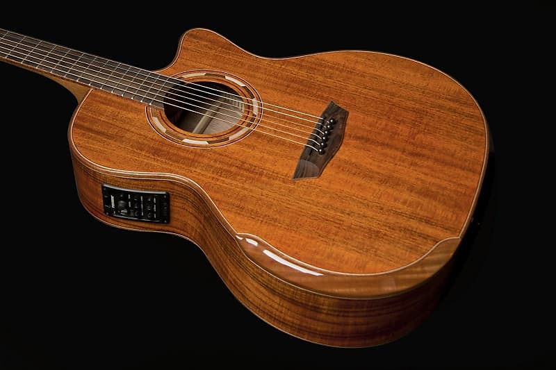 

Акустическая гитара Washburn WCG66SCE Comfort Deluxe Series Cedar Acoustic-Electric Guitar