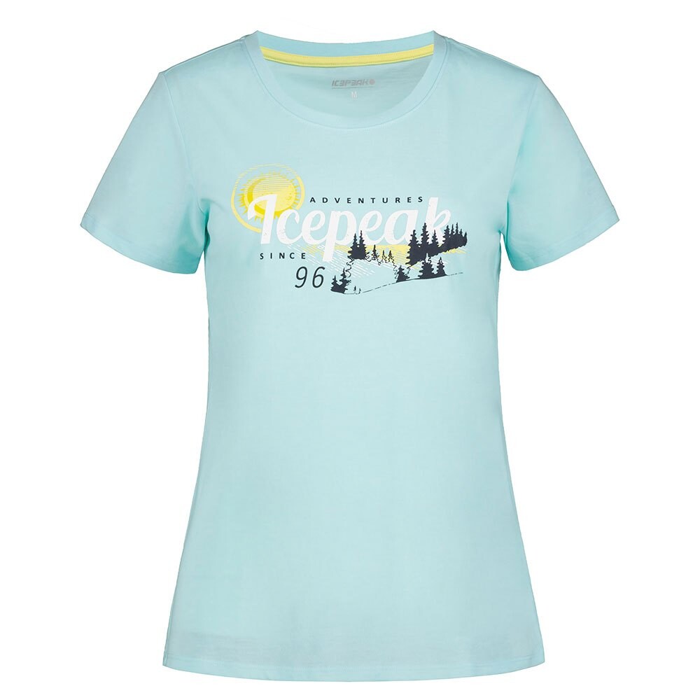 

Футболка Icepeak Belcher I, зеленый