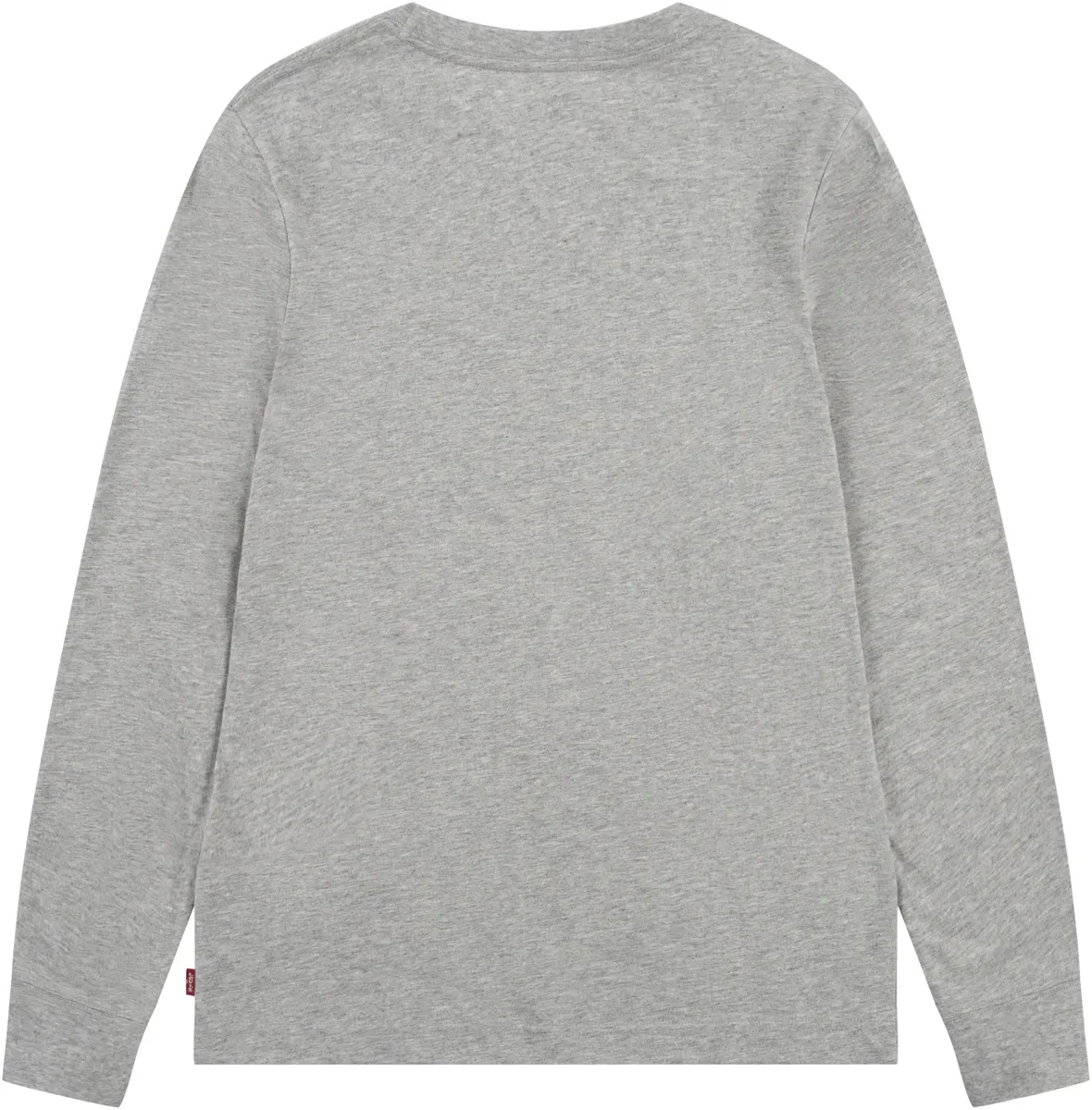Детская рубашка с длинными рукавами Levi's "LVB LS GRAPHIC TEE SHIRT", для МАЛЬЧИКОВ Levi'S Kids, серый — фото 4