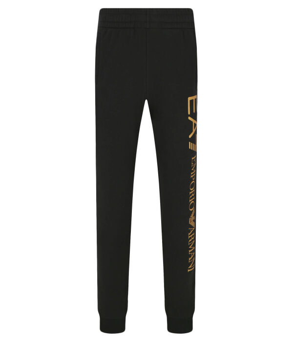 

Брюки спортивные Regular fit Ea7, черный