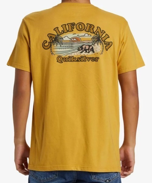 

Футболка с коротким рукавом, принт на спине Quiksilver, черная